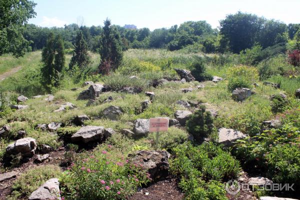 Ботанический сад (Россия, Самара) фото