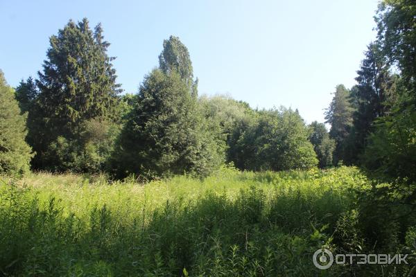 Ботанический сад (Россия, Самара) фото