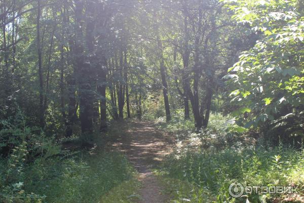 Ботанический сад (Россия, Самара) фото