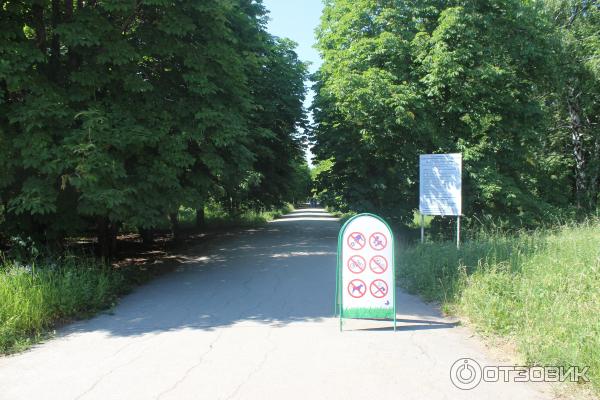 Ботанический сад (Россия, Самара) фото