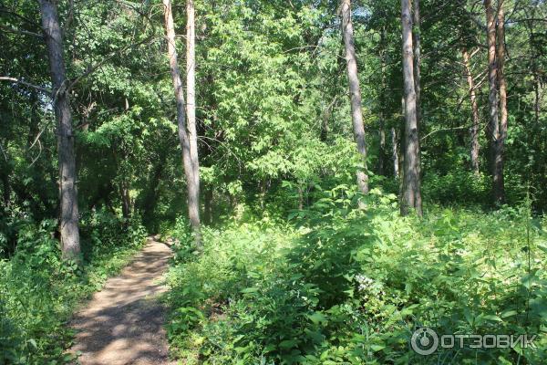 Ботанический сад (Россия, Самара) фото