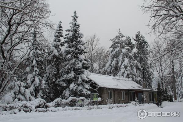 Ботанический сад (Россия, Самара) фото