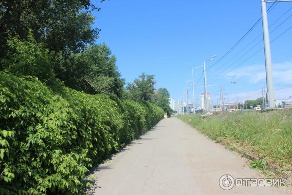 Ботанический сад (Россия, Самара) фото