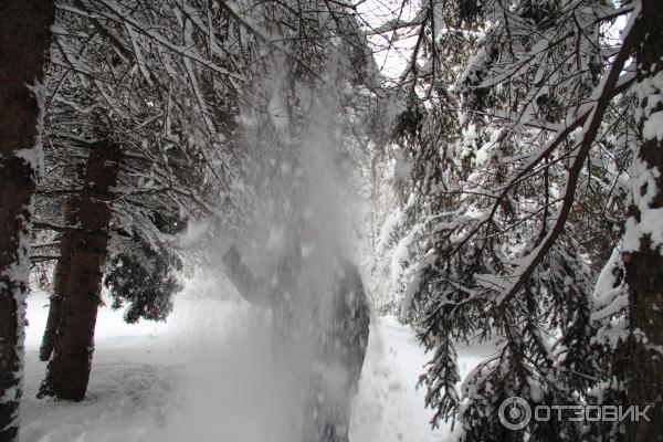 Ботанический сад (Россия, Самара) фото