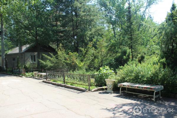 Ботанический сад (Россия, Самара) фото