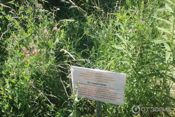 Ботанический сад (Россия, Самара) фото