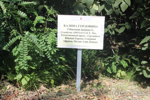 Ботанический сад (Россия, Самара) фото