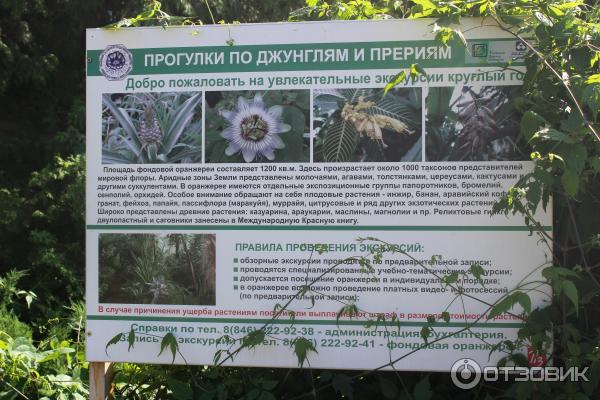 Ботанический сад (Россия, Самара) фото