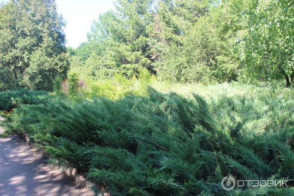 Ботанический сад (Россия, Самара) фото