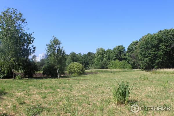 Ботанический сад (Россия, Самара) фото