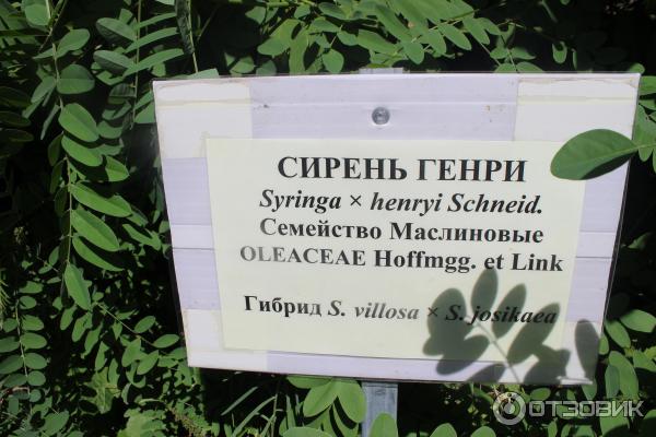 Ботанический сад (Россия, Самара) фото