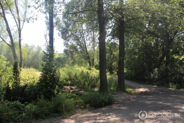 Ботанический сад (Россия, Самара) фото