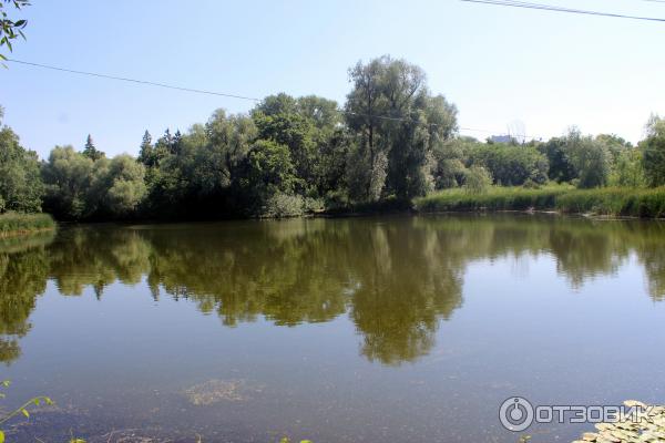 Ботанический сад (Россия, Самара) фото