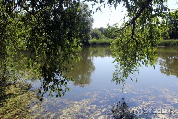 Ботанический сад (Россия, Самара) фото