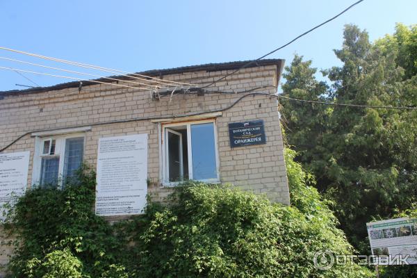 Ботанический сад (Россия, Самара) фото