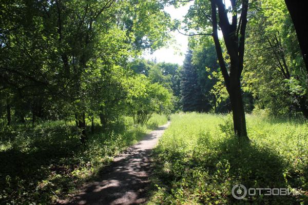 Ботанический сад (Россия, Самара) фото