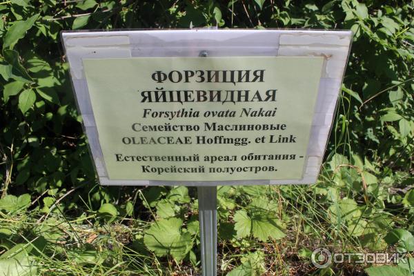 Ботанический сад (Россия, Самара) фото