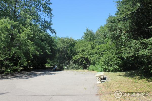 Ботанический сад (Россия, Самара) фото