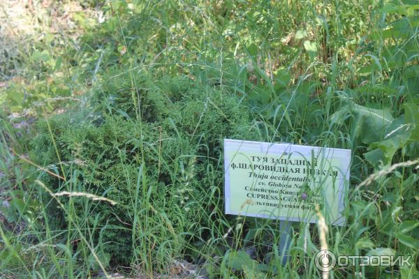 Ботанический сад (Россия, Самара) фото