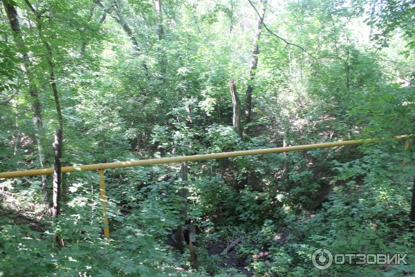 Ботанический сад (Россия, Самара) фото