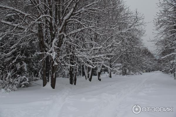 Ботанический сад (Россия, Самара) фото
