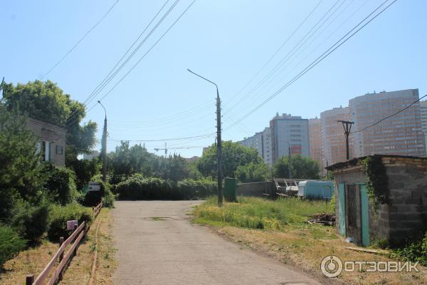 Ботанический сад (Россия, Самара) фото