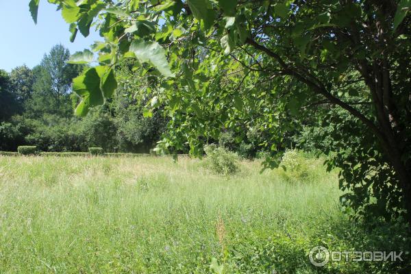 Ботанический сад (Россия, Самара) фото