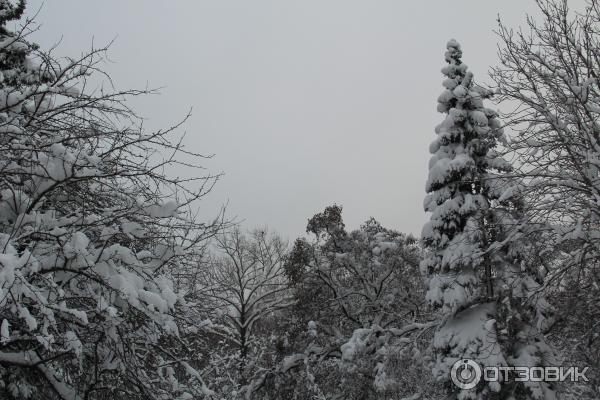 Ботанический сад (Россия, Самара) фото