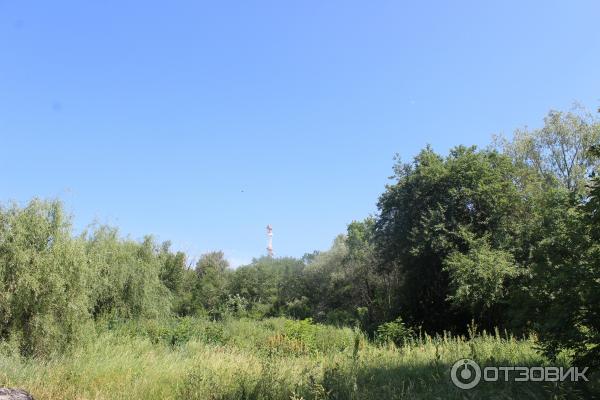 Ботанический сад (Россия, Самара) фото