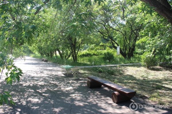 Ботанический сад (Россия, Самара) фото