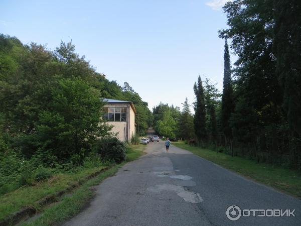 Пансионат Мюссера (Абхазия, Пицунда) фото