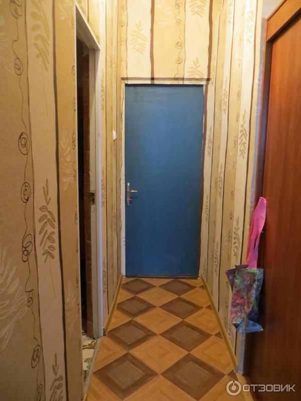 Пансионат Мюссера (Абхазия, Пицунда) фото