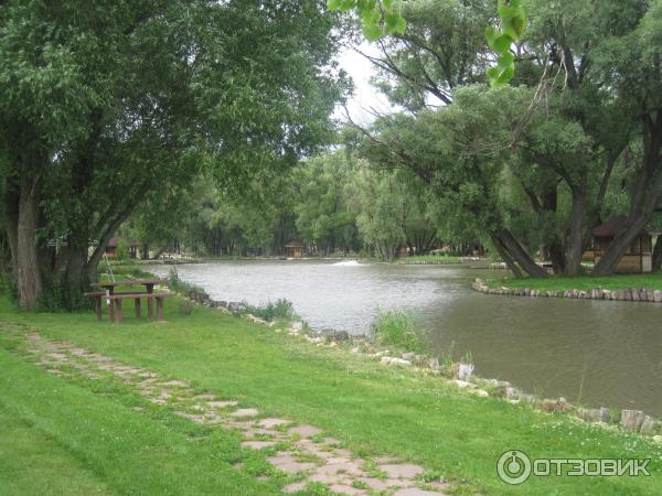 Платная рыбалка в Рыболовной Усадьбе Остров (Россия, Московская область) фото