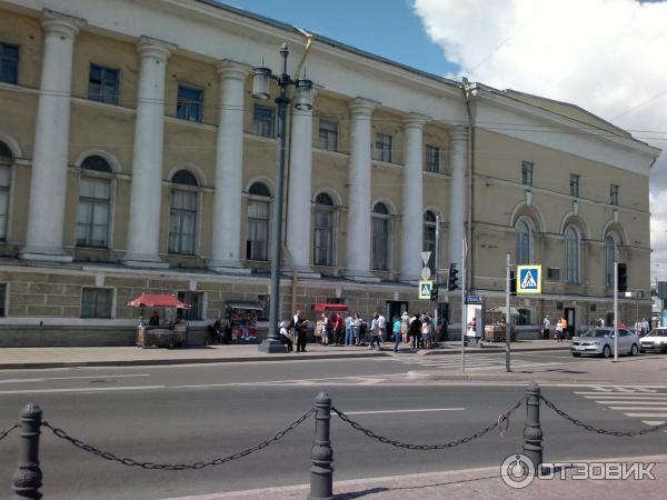 Зоологический музей Петербурга