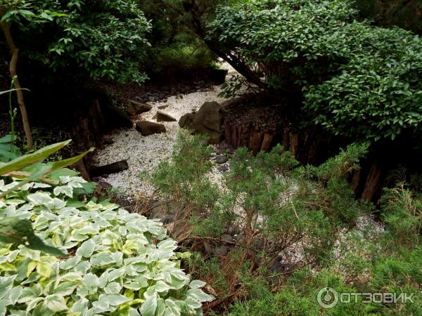 Ботанический сад Толоконникова (Россия, Новочеркасск) фото