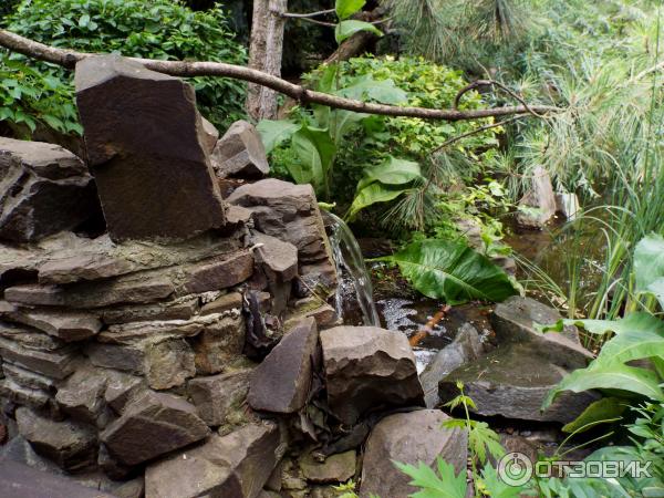 Ботанический сад Толоконникова (Россия, Новочеркасск) фото