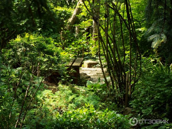 Ботанический сад Толоконникова (Россия, Новочеркасск) фото