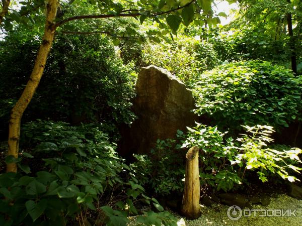 Ботанический сад Толоконникова (Россия, Новочеркасск) фото