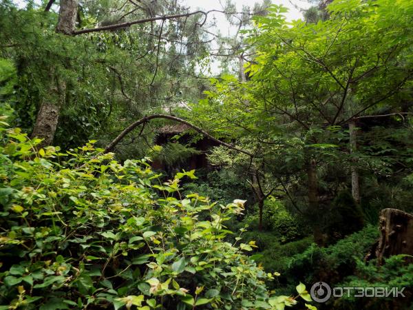 Ботанический сад Толоконникова (Россия, Новочеркасск) фото