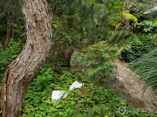 Ботанический сад Толоконникова (Россия, Новочеркасск) фото