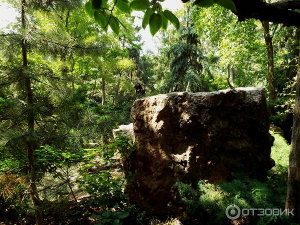 Ботанический сад Толоконникова (Россия, Новочеркасск) фото