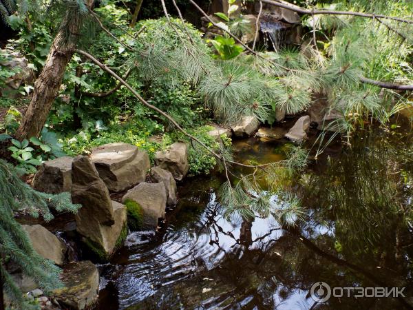 Ботанический сад Толоконникова (Россия, Новочеркасск) фото