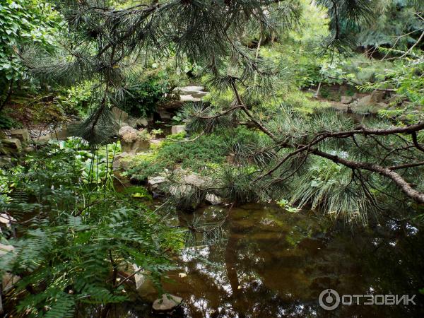 Ботанический сад Толоконникова (Россия, Новочеркасск) фото