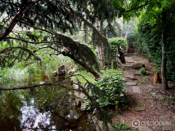 Ботанический сад Толоконникова (Россия, Новочеркасск) фото