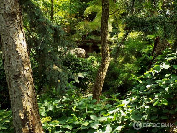 Ботанический сад Толоконникова (Россия, Новочеркасск) фото