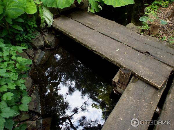 Ботанический сад Толоконникова (Россия, Новочеркасск) фото