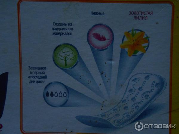 Ежедневные прокладки ароматизированные Ola Золотистая лилия фото