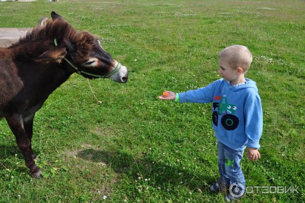 этнопарк Кочевник