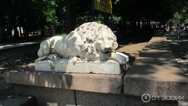 Город Николаев (Украина) фото