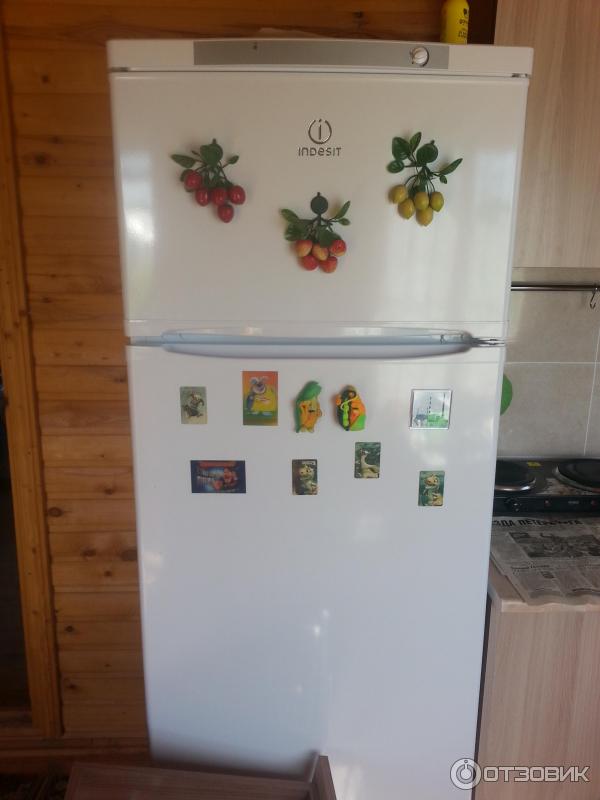 Холодильник Indesit ST167 фото